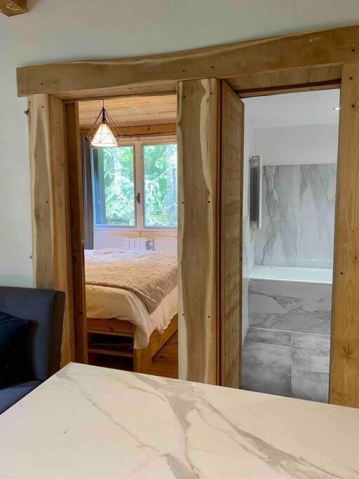 La Roseraie Chamonix Apartment Bagian luar foto